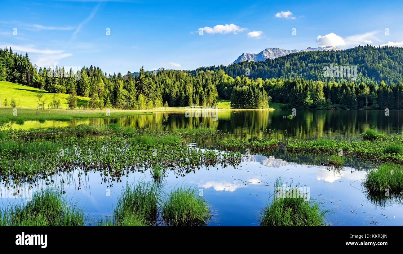 Geroldsee, Bavaria, Gerold, Germany, natural beauty, clear water, water lilies Stock Photo