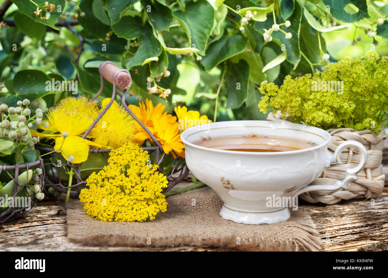 Cup of herbal tea and medicinal plants Stock Photo - Alamy