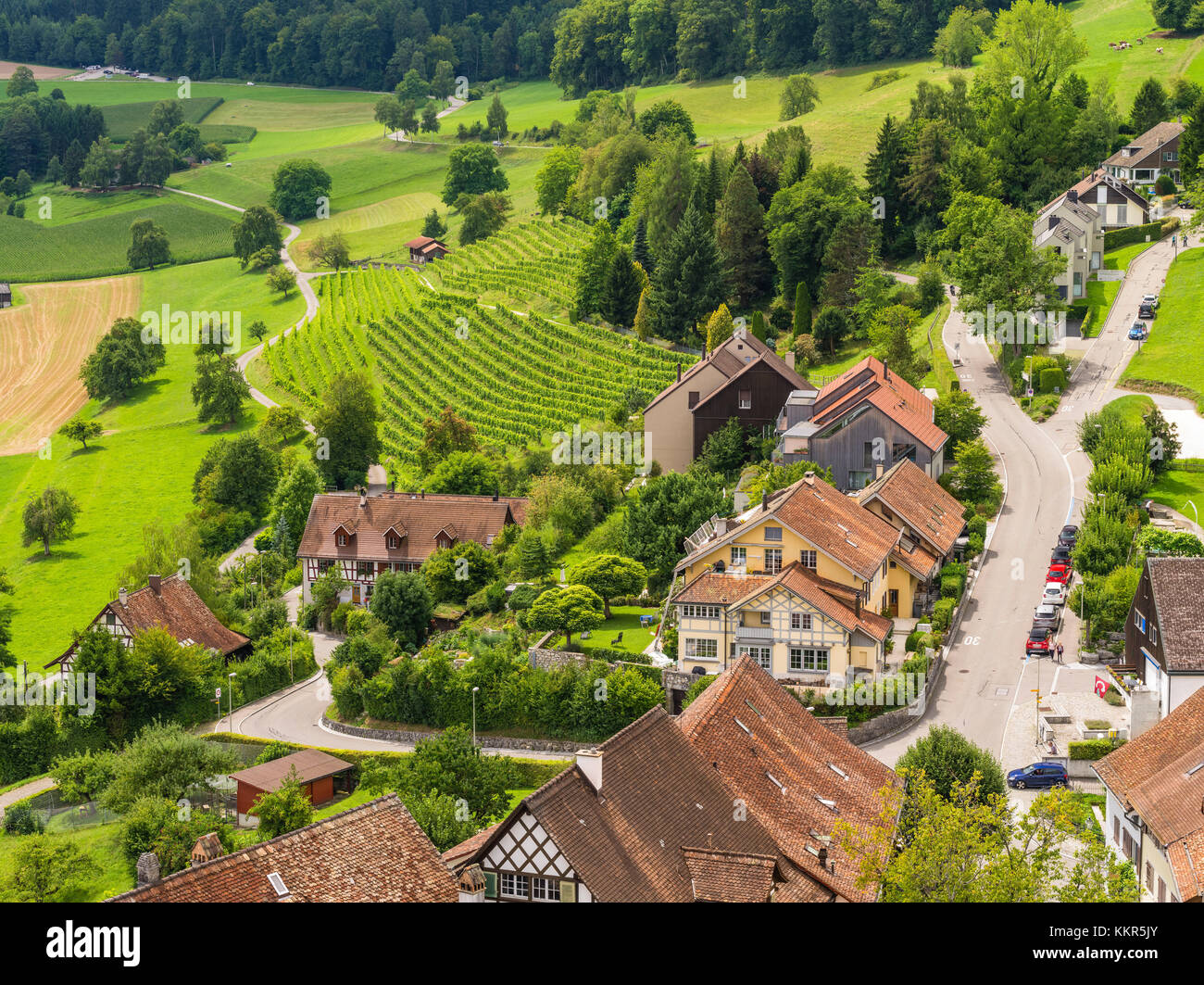 Regensberg in the Zurich lowland with vineyard Stock Photo