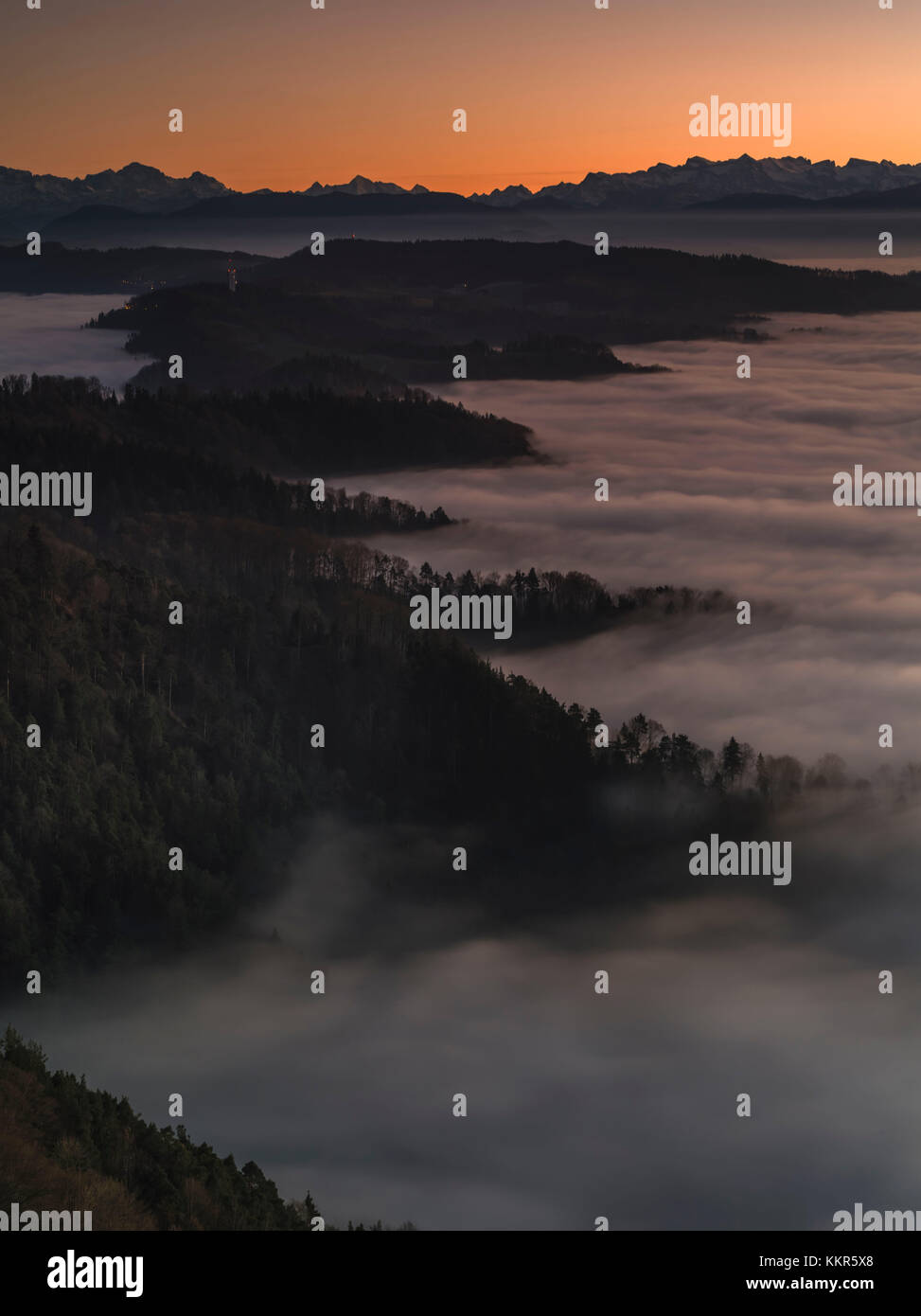 Fog over forest sunset hi-res stock photography and images - Alamy