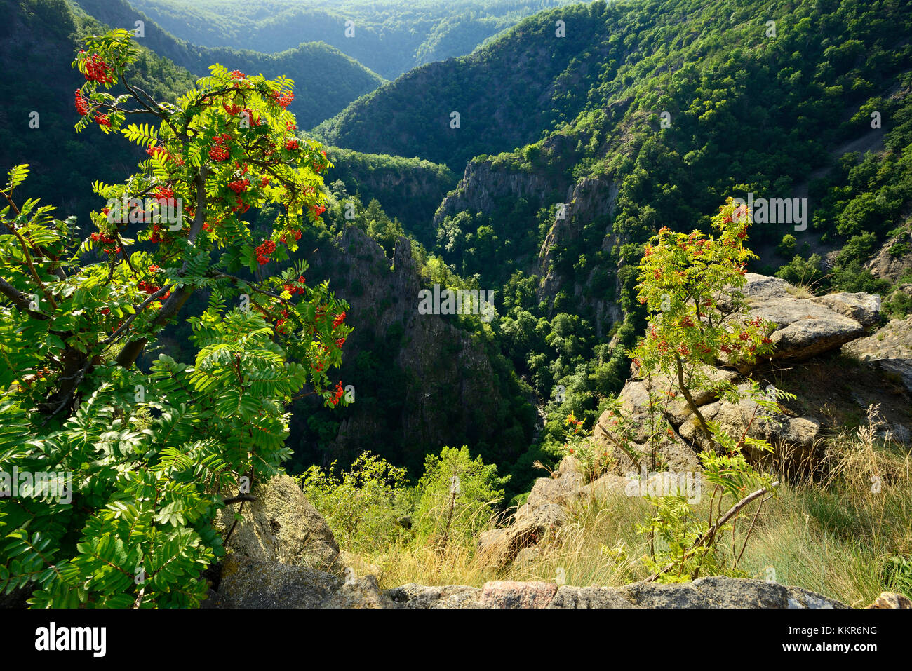 Germany, Saxony-Anhalt, Harz, Thale, view of the Bodetal from the Roßtrappe Stock Photo