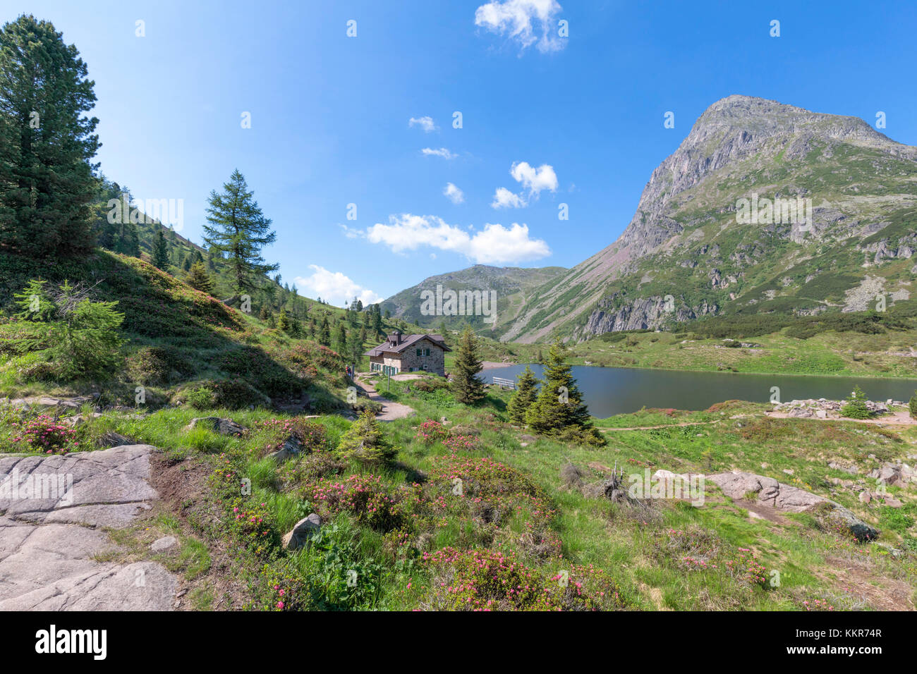 Europe, Italy, Trentino, Trento, Lagorai chain, the Colbricon lakes in summer with the little alpine hut near the lakes Stock Photo