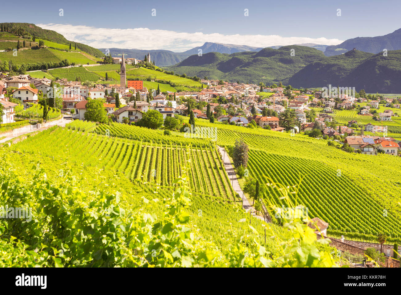 a view of Tramin an der Weinstrasse (Termeno sulla strada del vino), Bolzano province, Trentino Alto Adige, South Tyrol, Italy Stock Photo