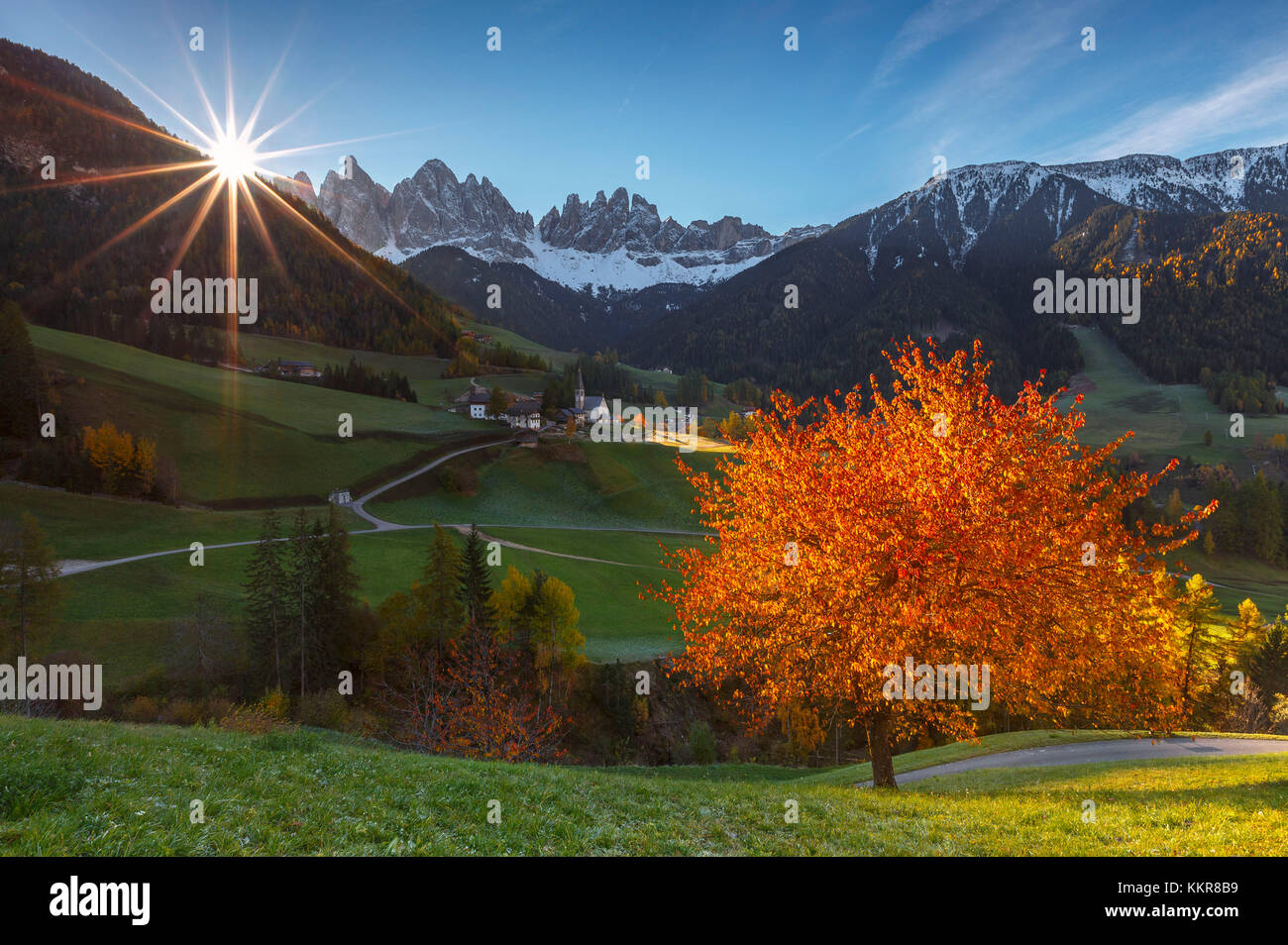 Autumn time at Santa Magdalena, Funes valley, Odle dolomites, South Tyrol region, Trentino Alto Adige, Bolzano province, Italy, Europe Stock Photo