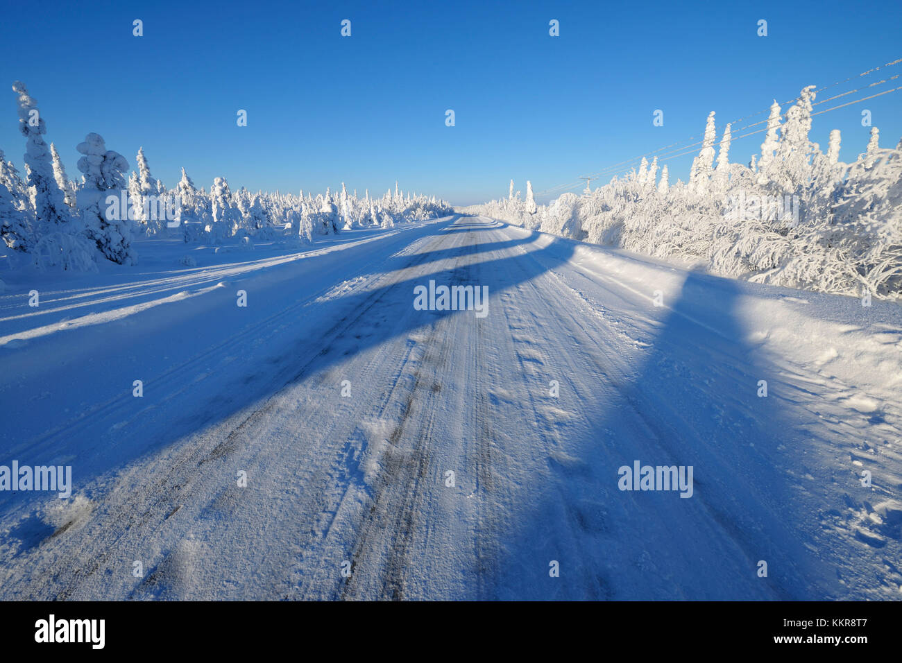 Road in winter, Haataja, Kuusamo, Nordoesterbotten, Pohjois Pohjanmaa, Finland, Suomi Stock Photo