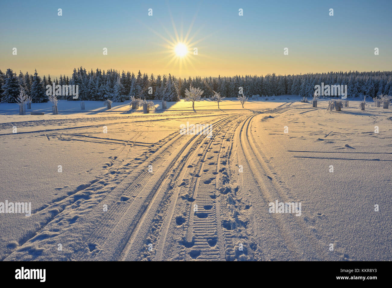 Winter landscape with snowmobile trail, Schneeekopf, Gehlberg, Thuringia, Germany Stock Photo