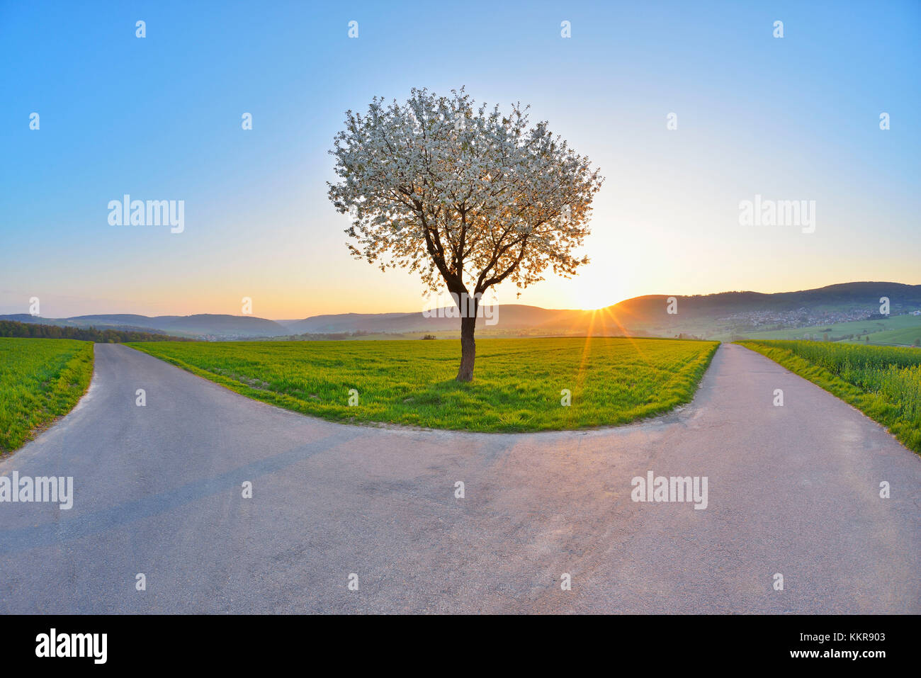 Forked Roa's Forked road hi-res stock photography and images - Alamy