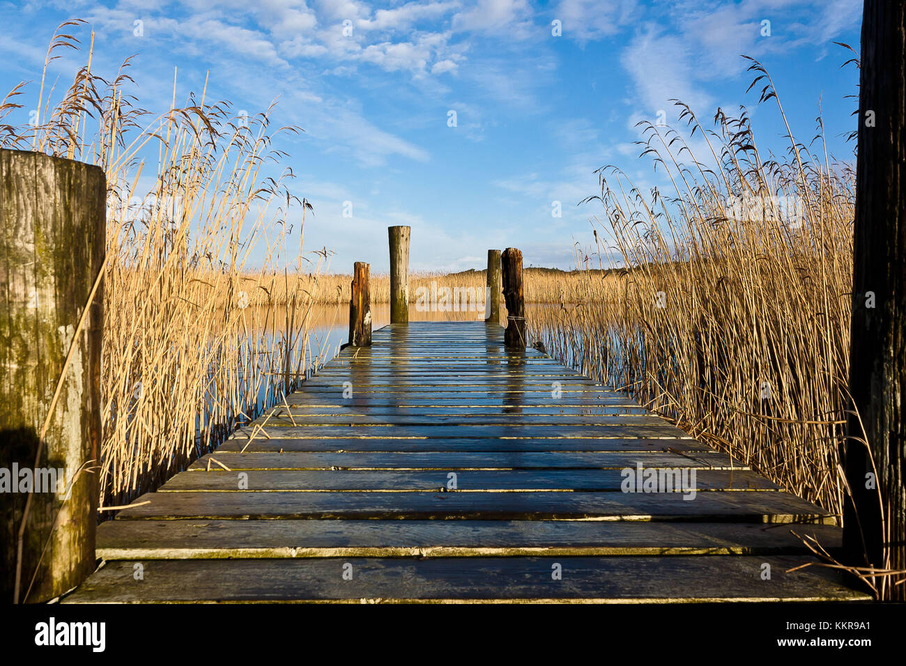 A pier at a lake near Norre Nebel Stock Photo