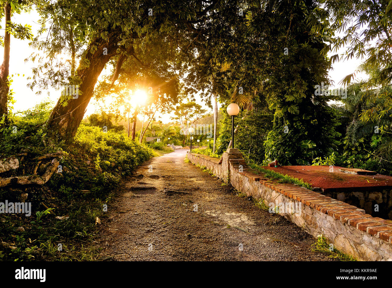 A road at late afternoon in the mountains of Candelaria, Cuba Stock Photo