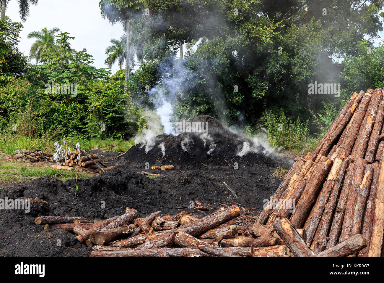 Charcoal production in the province Pinar del Rio on Cuba Stock Photo