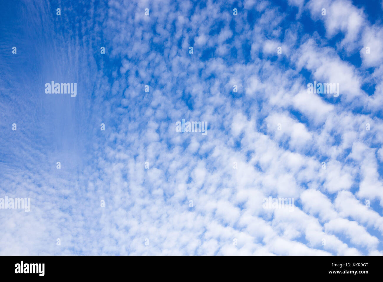 Cirrocumulus clouds over Wiesmoor, Eastfrisa Stock Photo