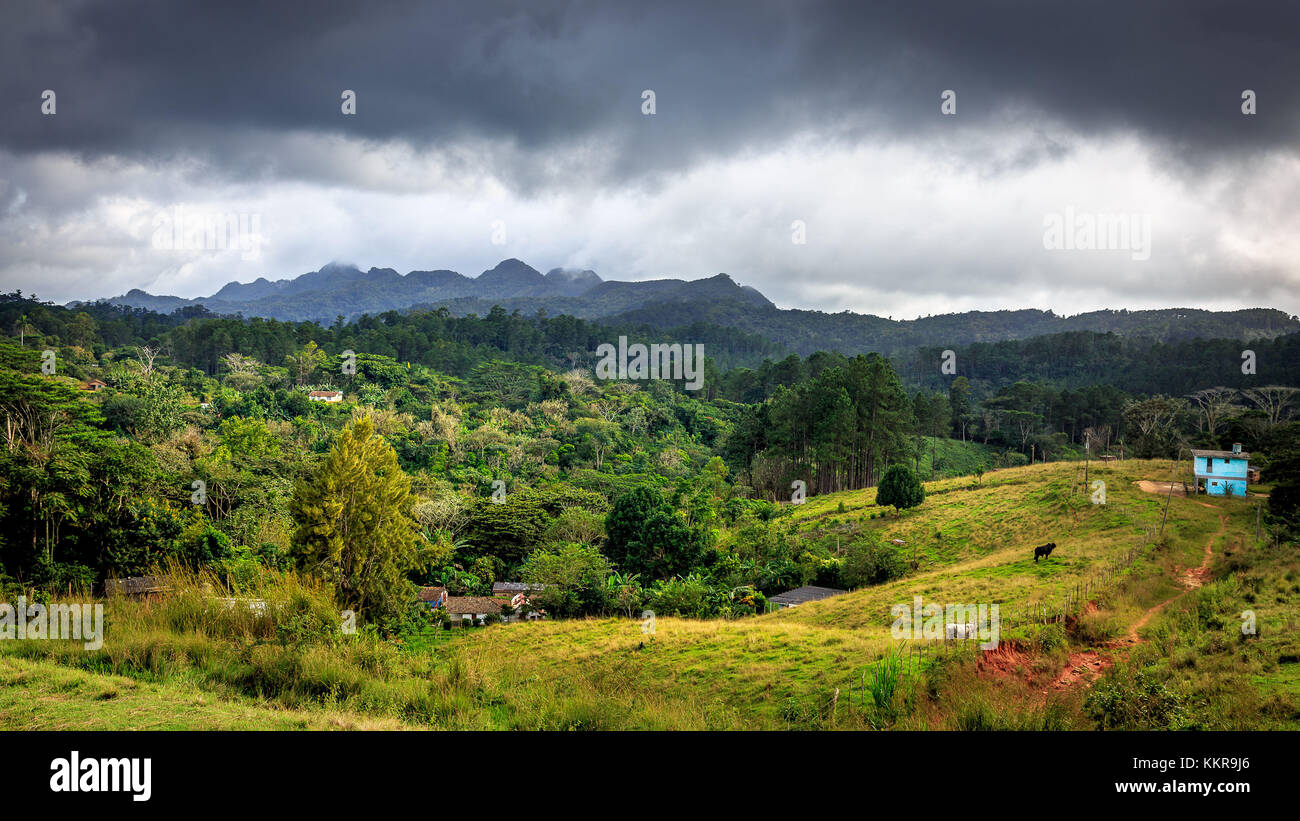 Cuba is the largest island in the Caribbean, with an area of 109,884