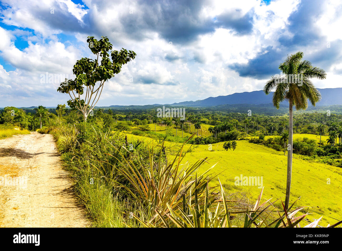 Landscape near Bahia Honda, Cuba Stock Photo