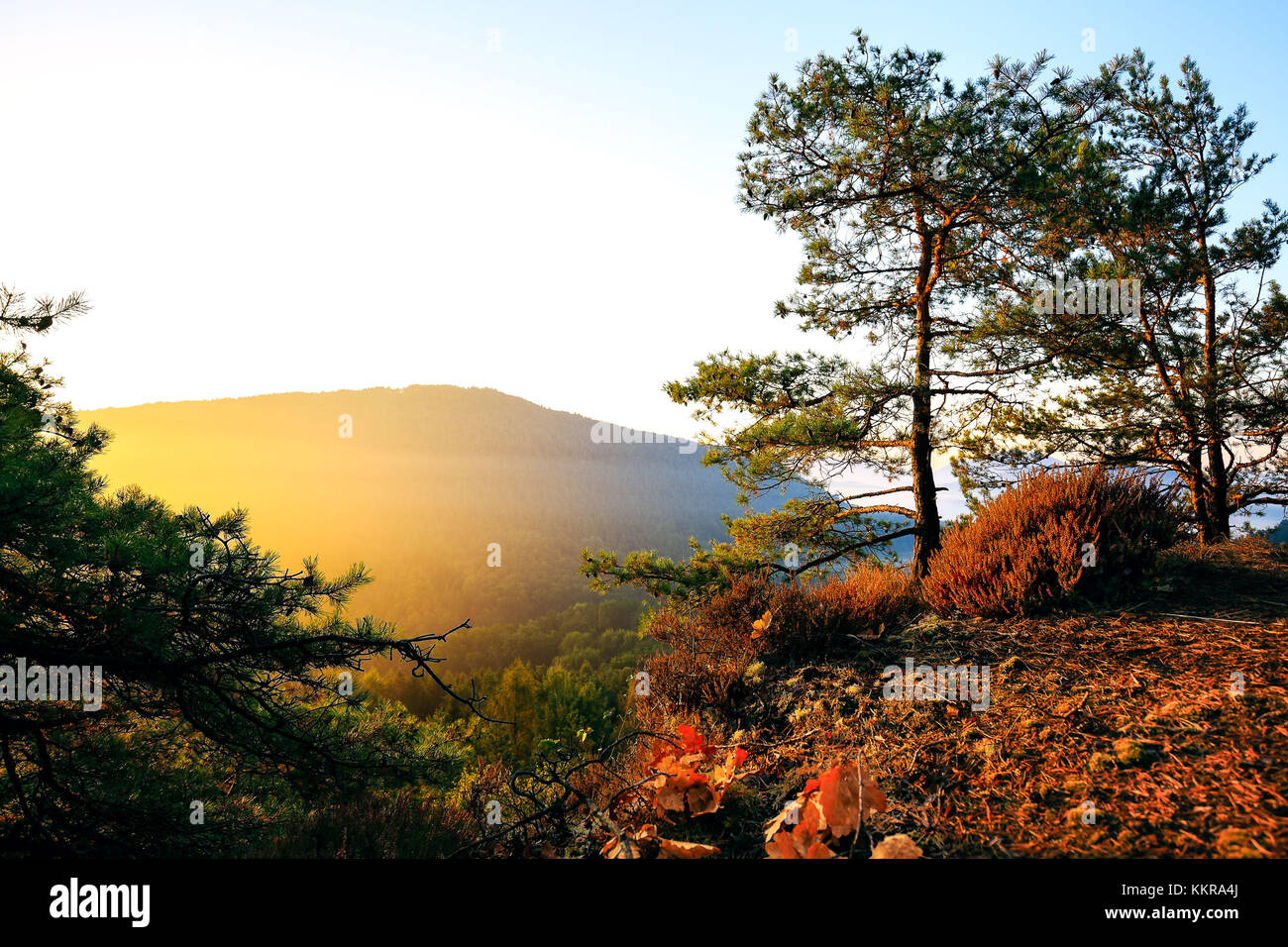 Sunrise in the Dahner Felsenland in the palatinate forest Stock Photo