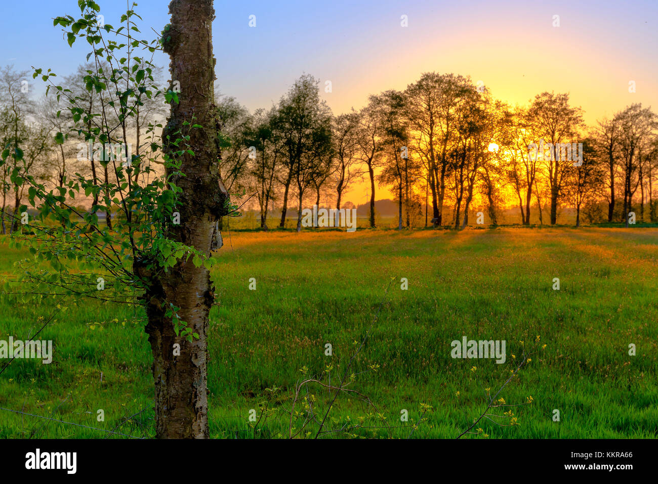 Sunset over a meadow in East Frisia Stock Photo
