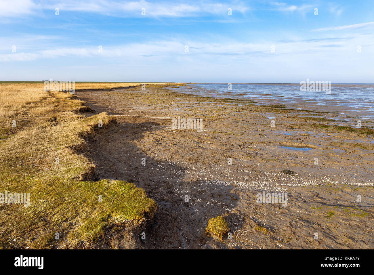 The East Frisian coastline near the village Hilgenriedersiel. In the back, the island Norderney Stock Photo