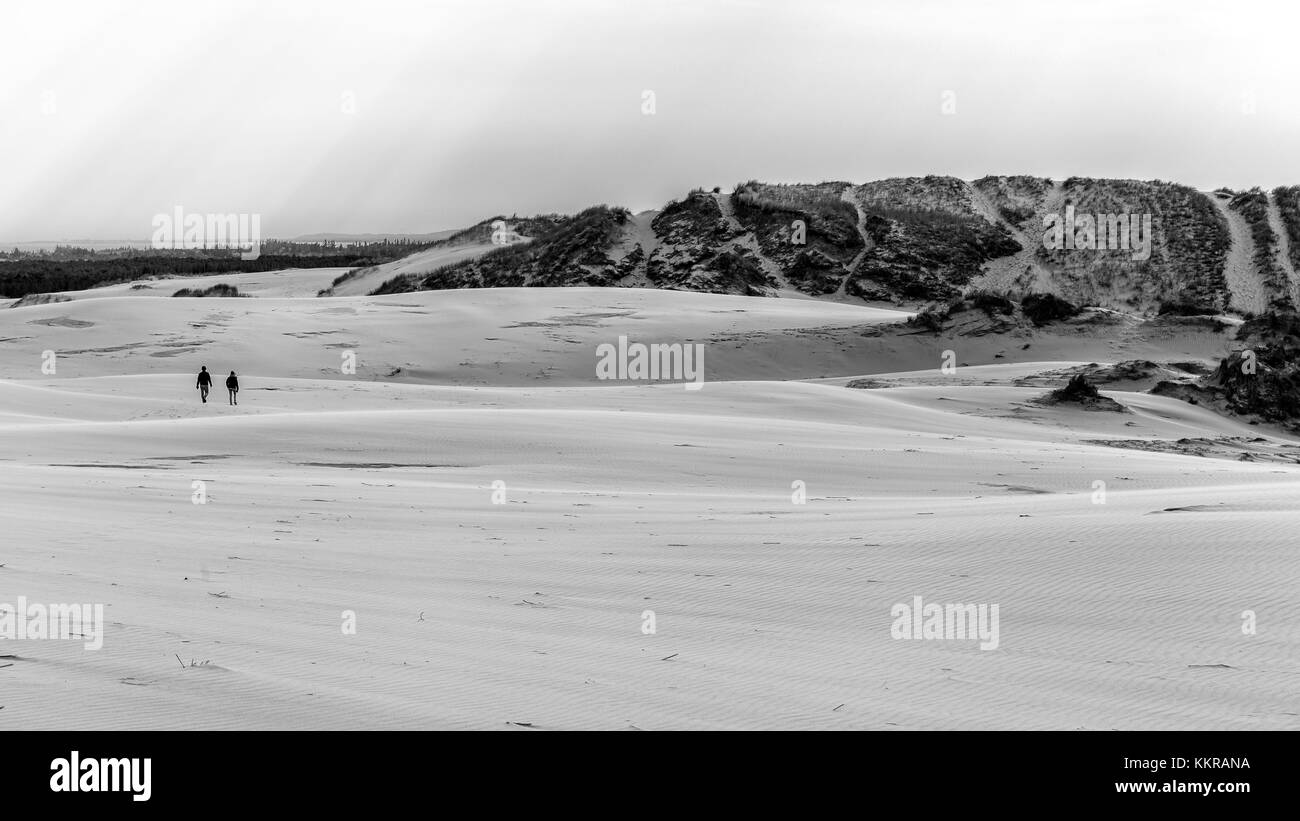 The wandering dune Rabjerg Mile Stock Photo