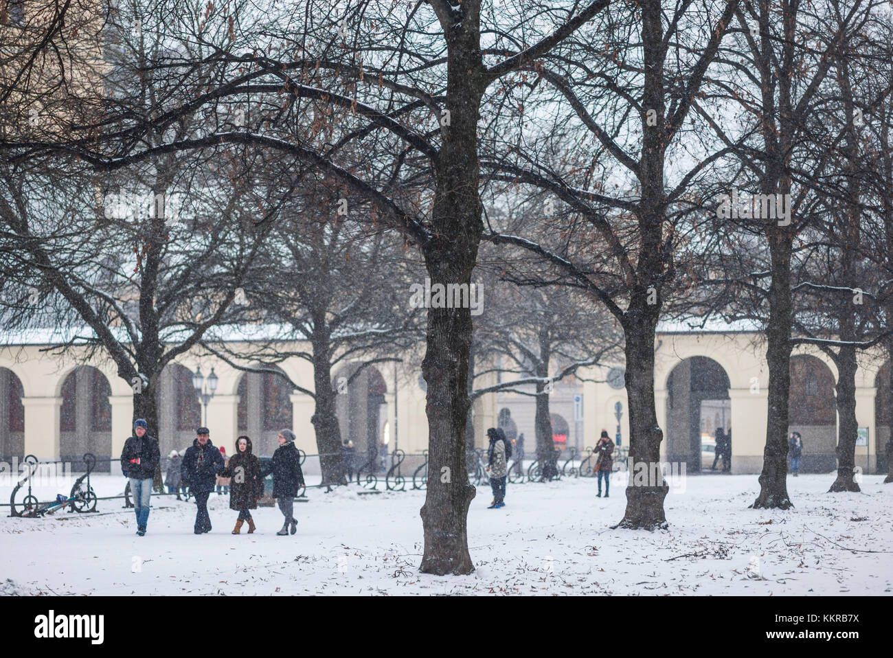 Germany, Bavaria, Munich, Hofgarten Park, early snow Stock Photo
