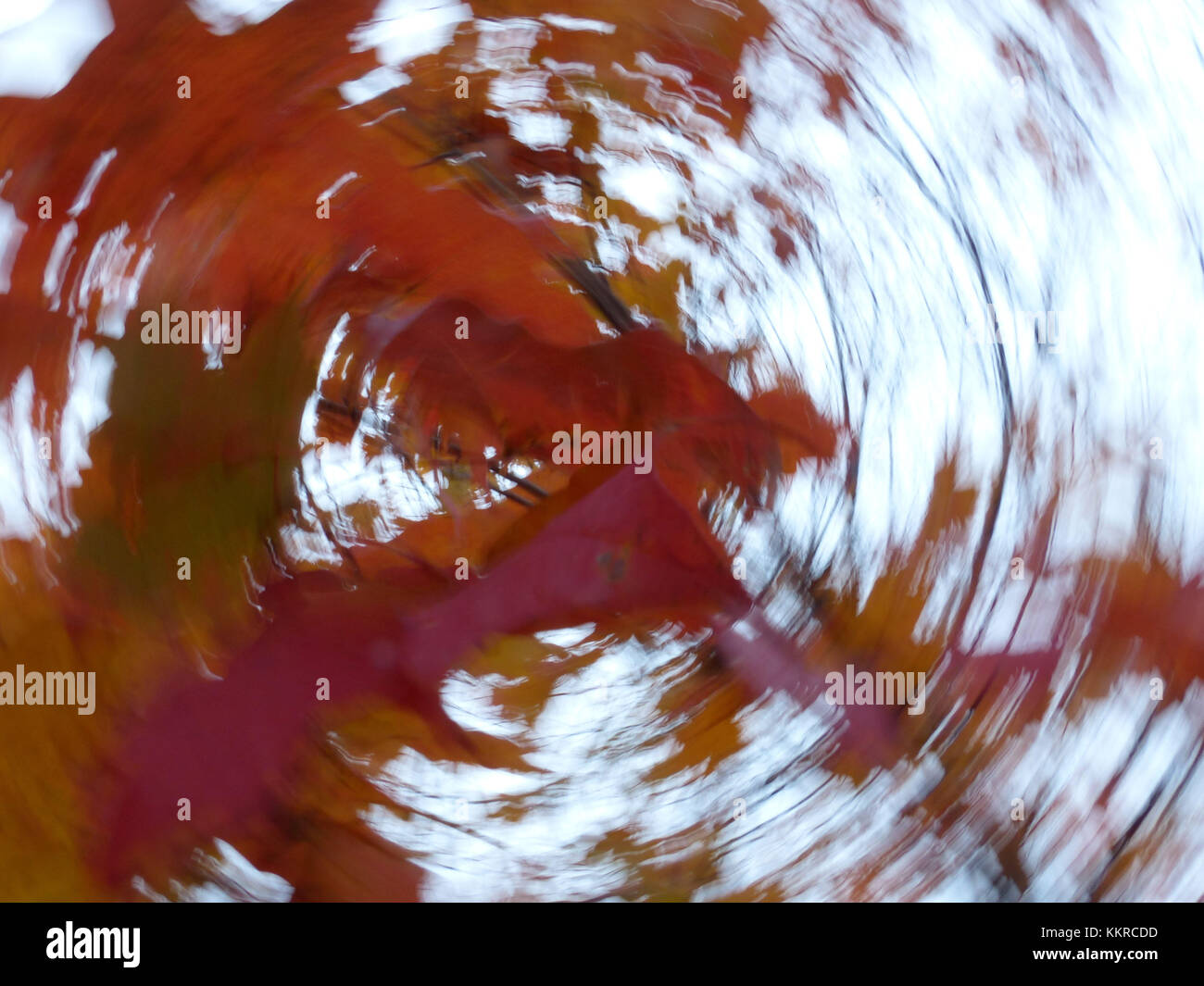 Blurred image of foliage achieved by rotating the camera during time exposure Stock Photo