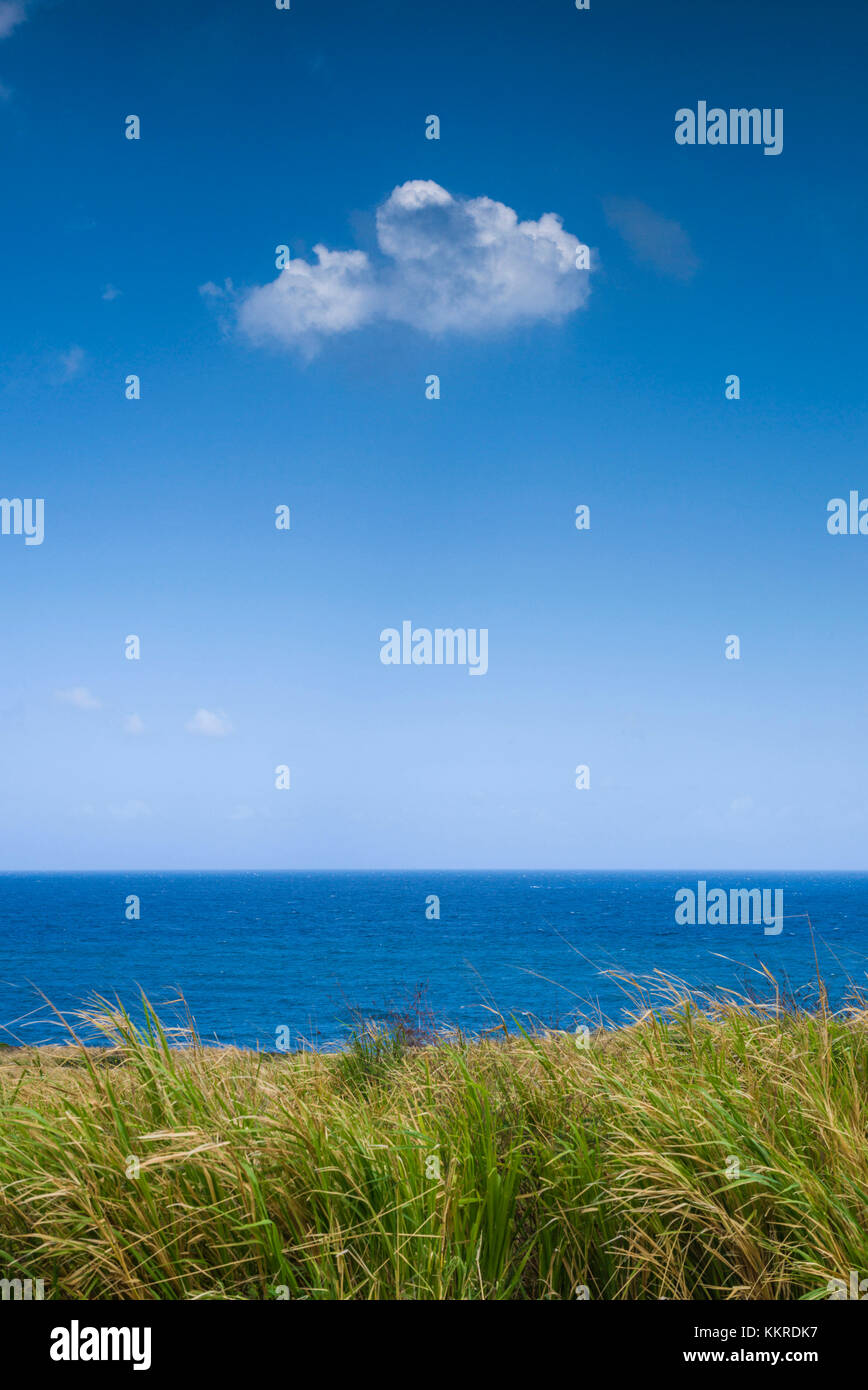 St. Kitts and Nevis, St. Kitts, Belle Vue, beach view Stock Photo