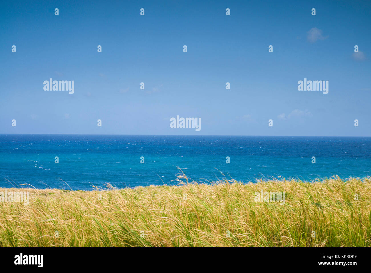 St. Kitts and Nevis, St. Kitts, Belle Vue, beach view Stock Photo
