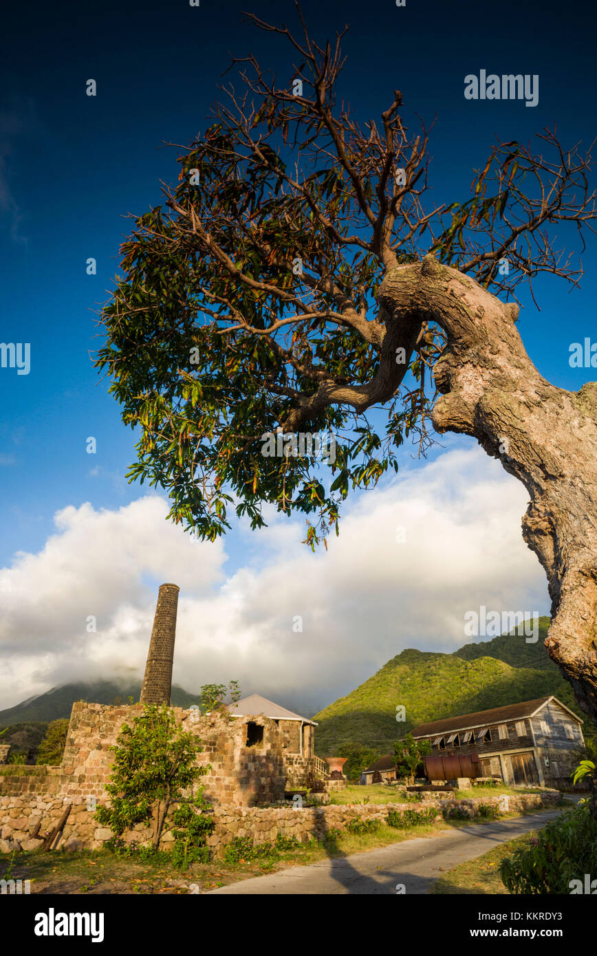 St. Kitts and Nevis, Nevis, New River, ruins of Coconut Walk sugar estate Stock Photo Alamy