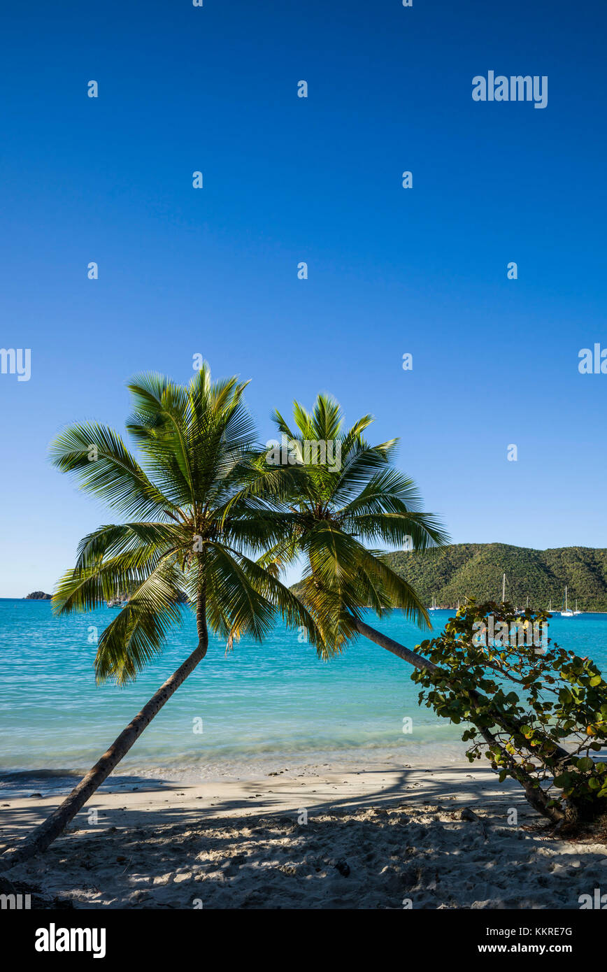 U.S. Virgin Islands, St. John, Trunk Bay, Trunk Bay Beach Stock Photo