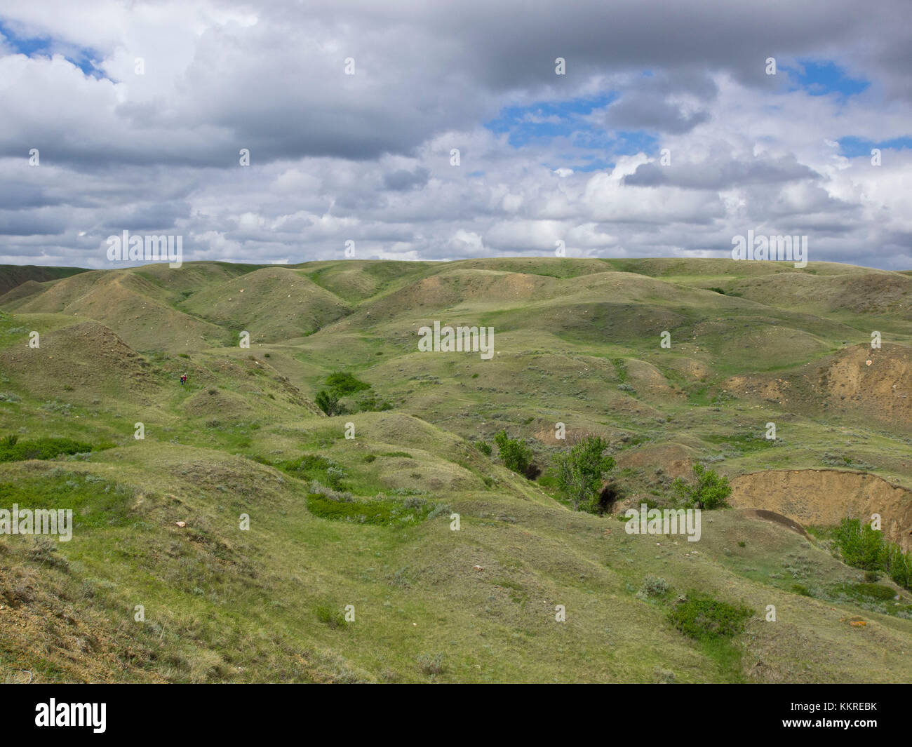 coulees (hilly grasslands) Stock Photo