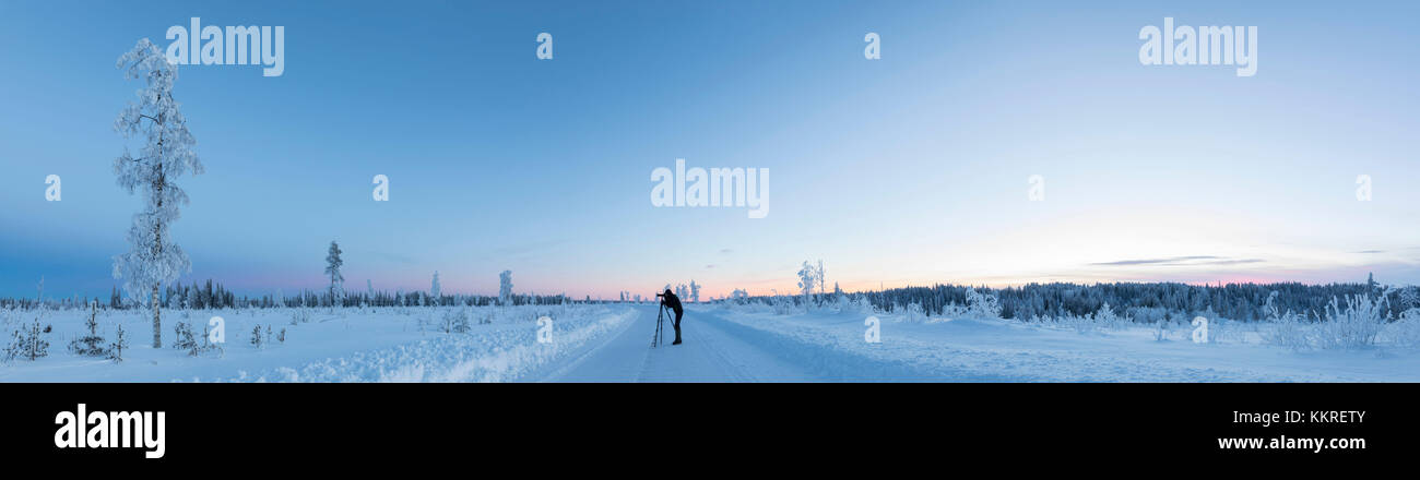 Panoramic of photographer in the boreal forest (Taiga) at sunset, Kiruna, Norrbotten County, Lapland, Sweden Stock Photo