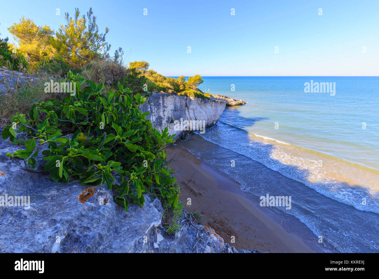 Plate of figs over the Colombi Beach, Defensola, Apulia(Puglia), Italy. Stock Photo