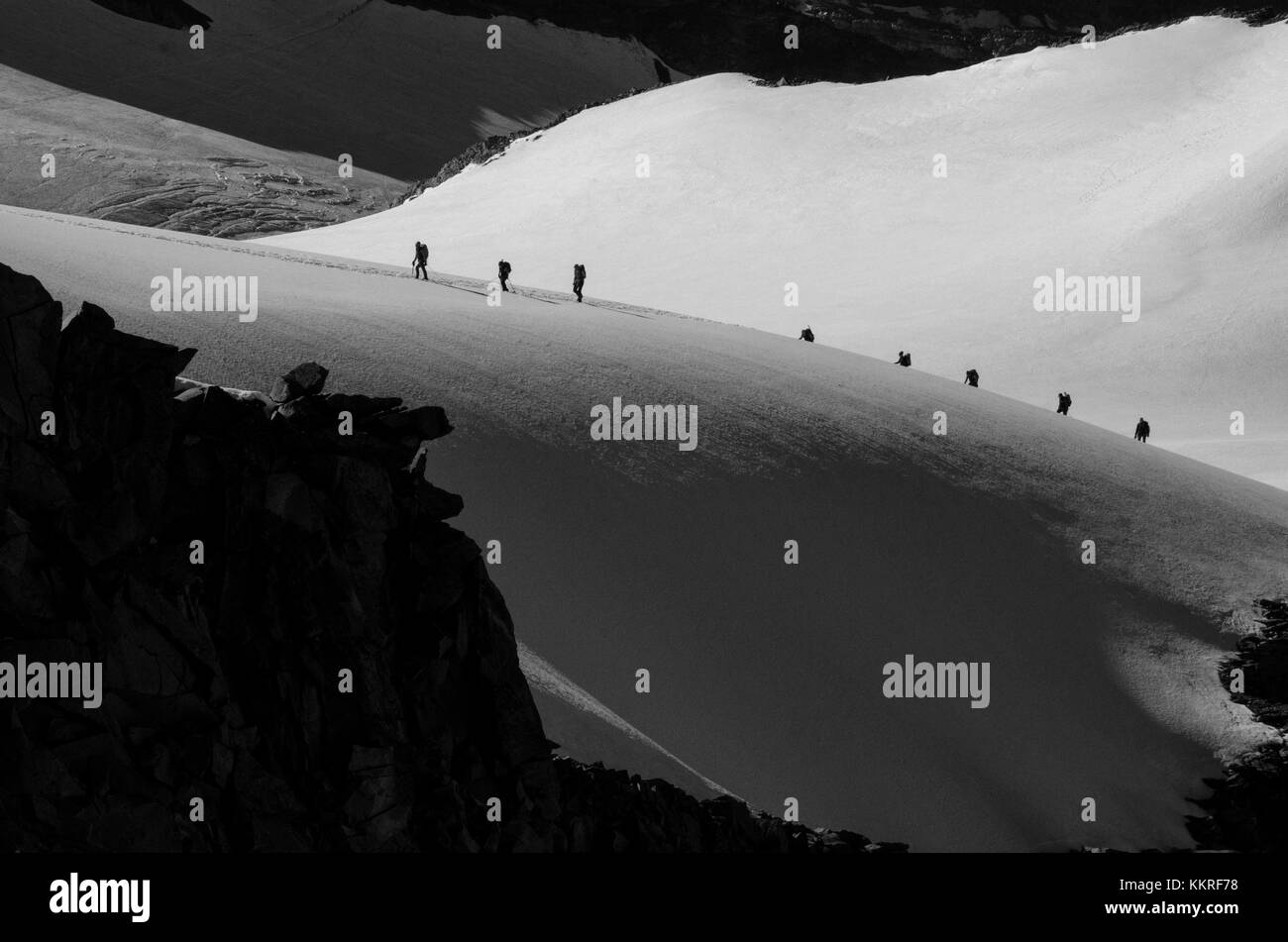 Group of mountaineers coming over the edge. Großvenediger, Tyrol, Austria, Europe Stock Photo