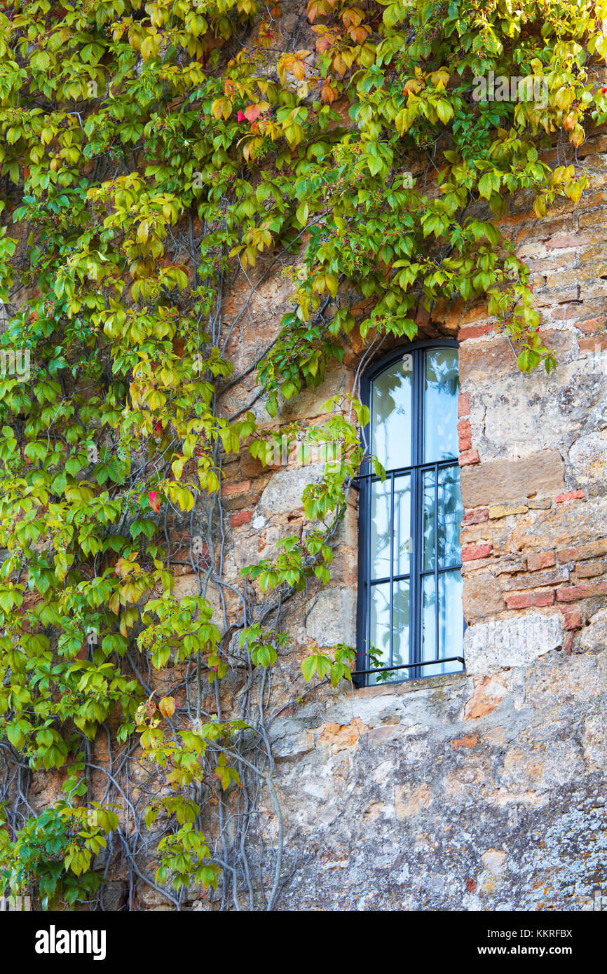 Europe, italy, Tuscany, Siena district, Orcia valley. Stock Photo
