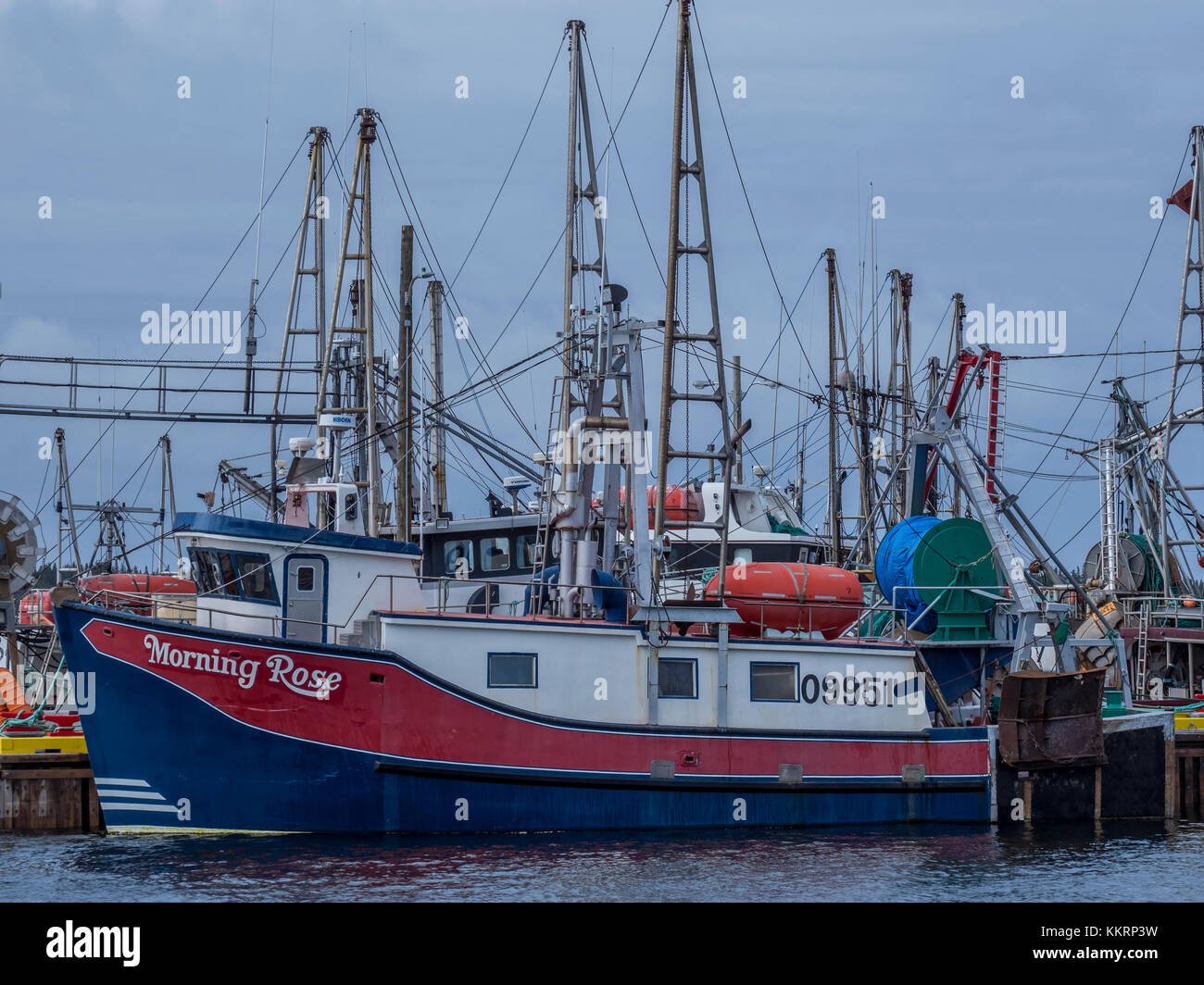 Fishing boats, Port Saunders Marine Service Centre, Port Saunders