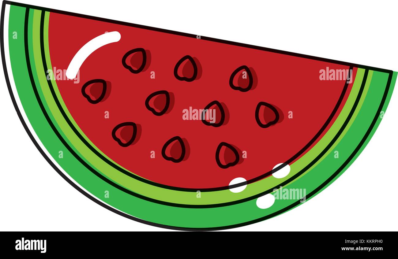 watermelon fruit delicious vitamins nutrition food Stock Vector Image & Art Alamy