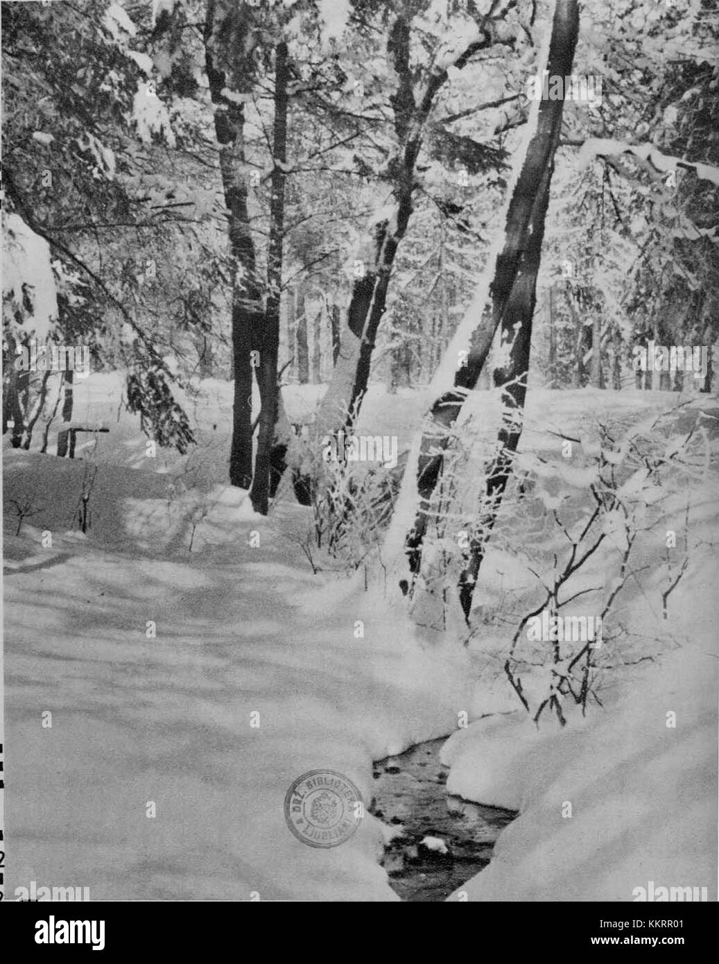 Gozd pozimi 1932 Stock Photo - Alamy