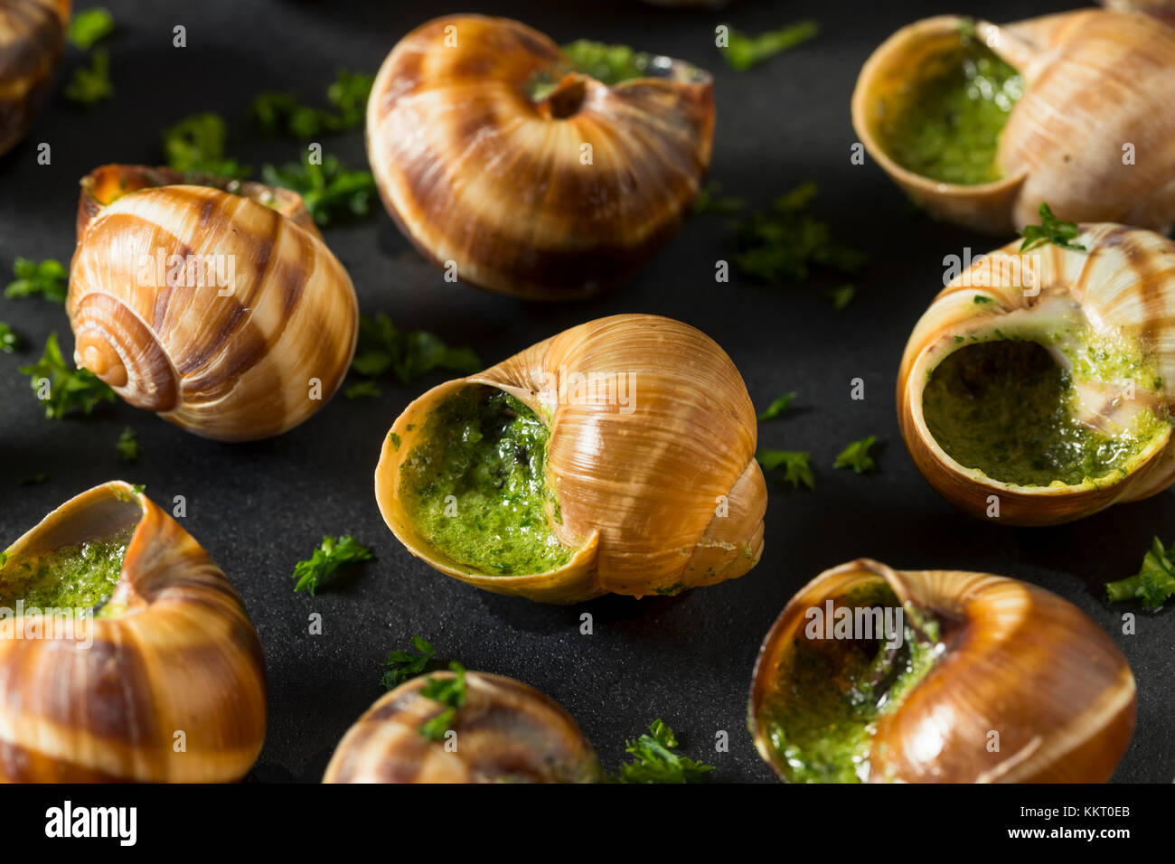 Fancy French Hot Escargot Appetizer with Butter and Garlic Stock Photo
