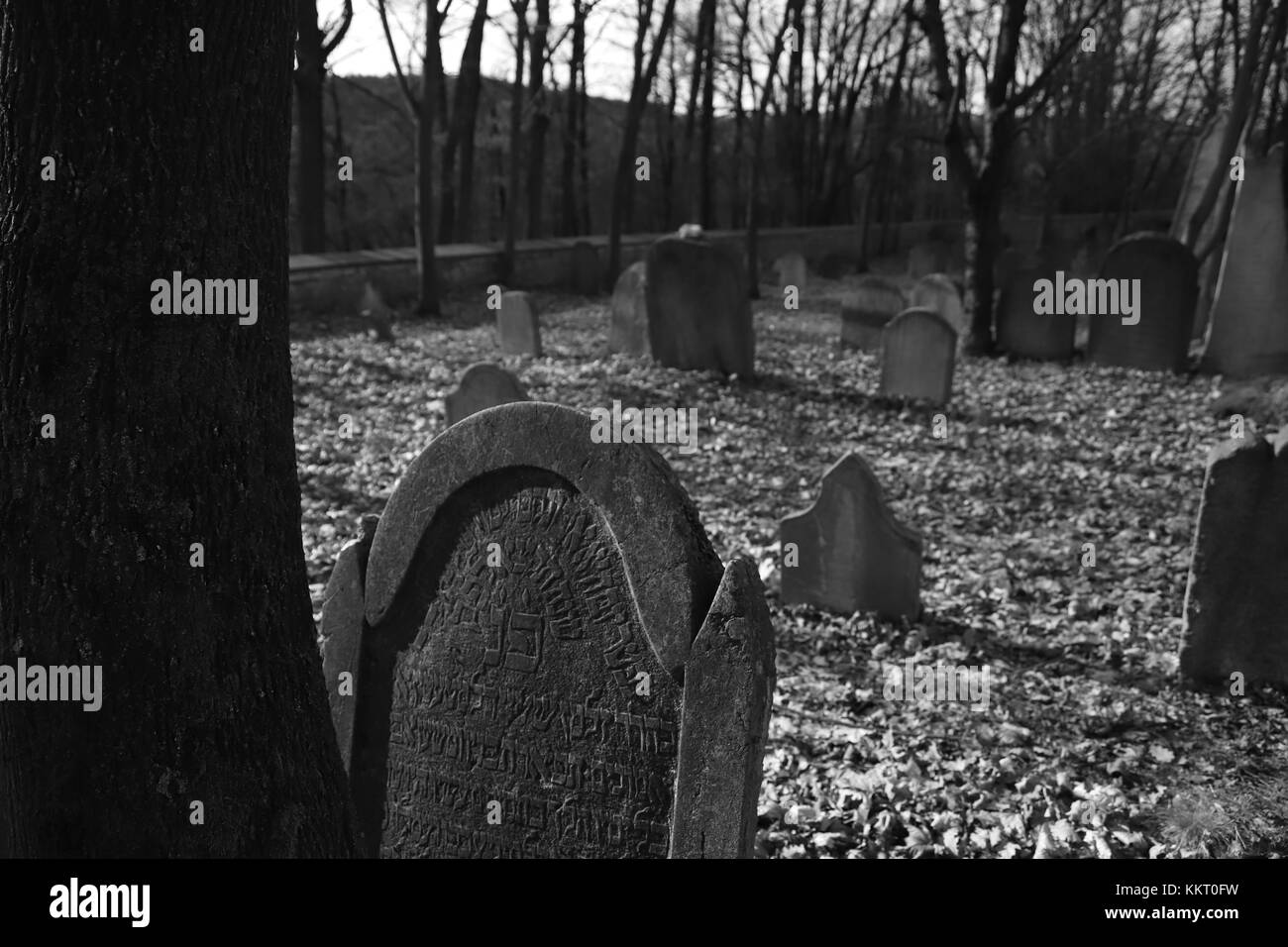 old jewish cemetery Stock Photo Alamy