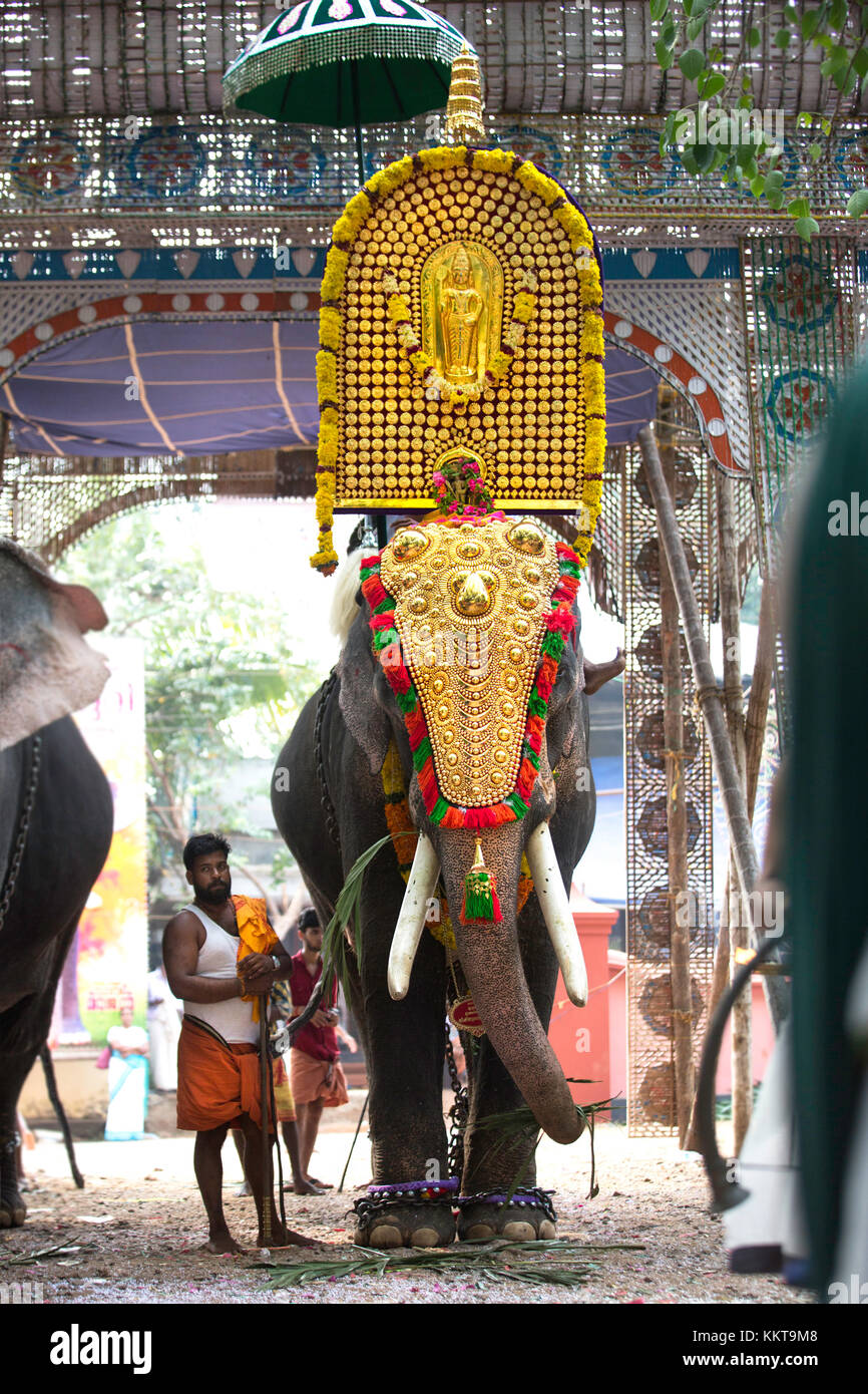 Caparisoned or decorated elephant with chenda melam from a pooram festival,eravimangalam shashti,thrissur,kerala,india,pradeep subramanian Stock Photo