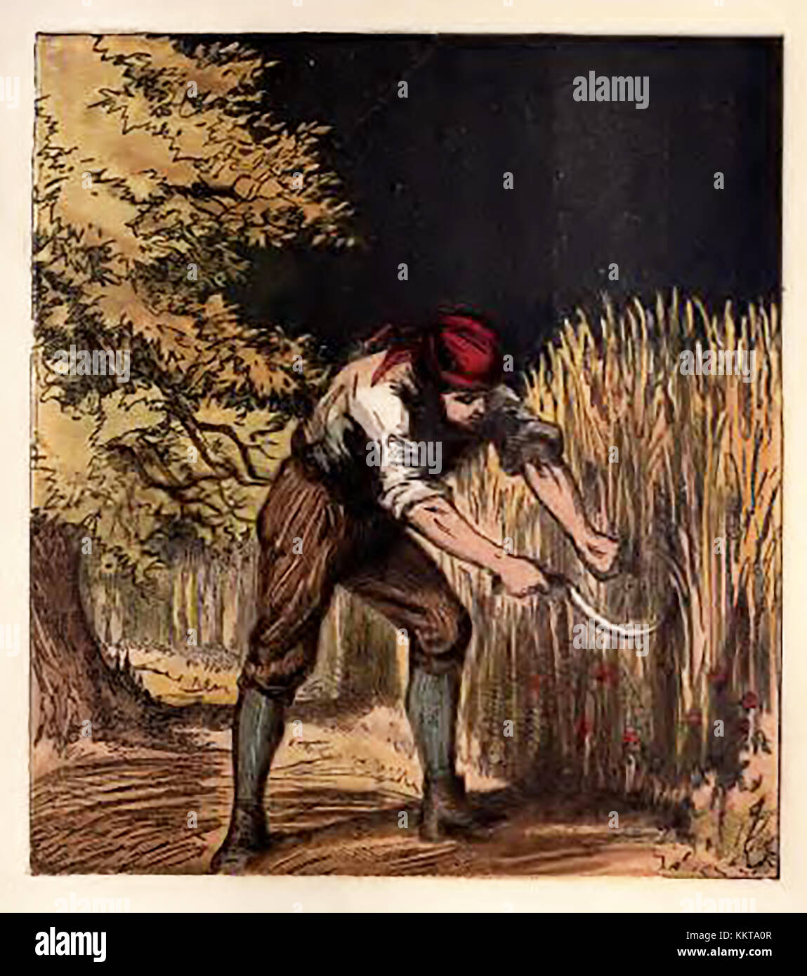 An historic  coloured Victorian children's ABC book illustration - A farmer (agricultural labour) harvesting corn with a sickle Stock Photo