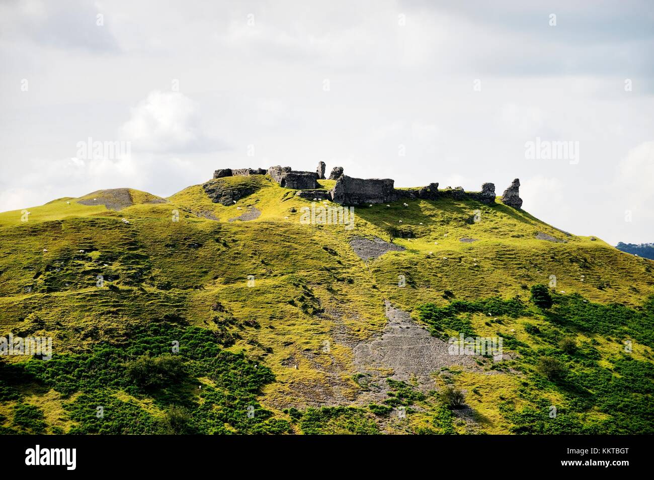 Castell Dinas Bran, Llangollen, Denbighshire, Wales. On an Iron Age site, the stone castle dates from 13 C Stock Photo