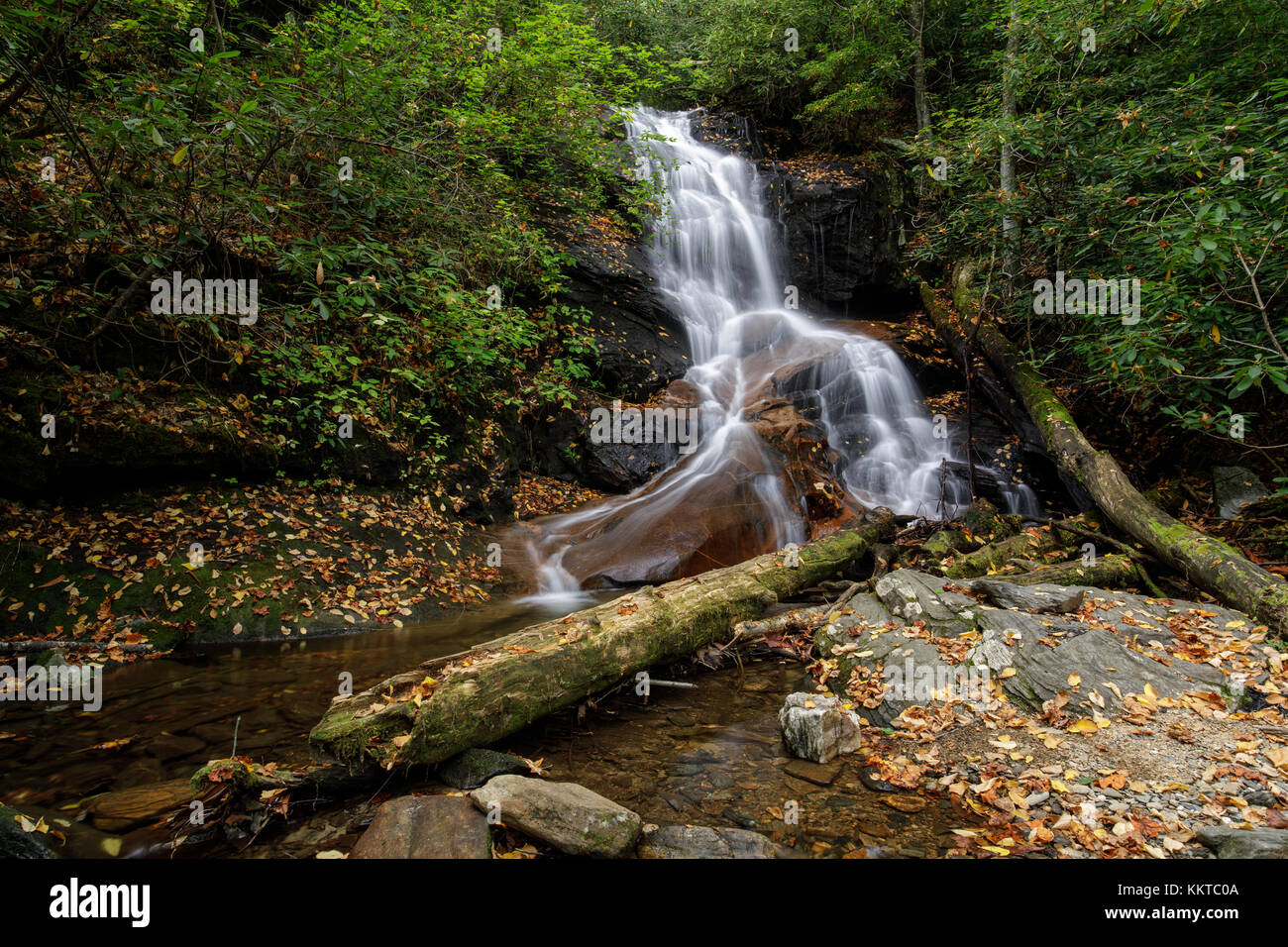 Log Hollow Falls is a beautifully cascading 25 ft. high waterfall in the Pisgah National Forest in Transylvania County.  While being relatively easy to get to, they are not frequently visited relative to other waterfalls in the area.  They are about 1/2 mile down FS5043 which is an old logging road.  The hike in is very easy, and you will generally see plentiful wildflowers unless you are visiting in the colder months.  The falls themselves have smoothed down the bedrock at the bottom of the falls, in which thick veins of quartz are visible.  If you observe closely in the stream, you will see  Stock Photo