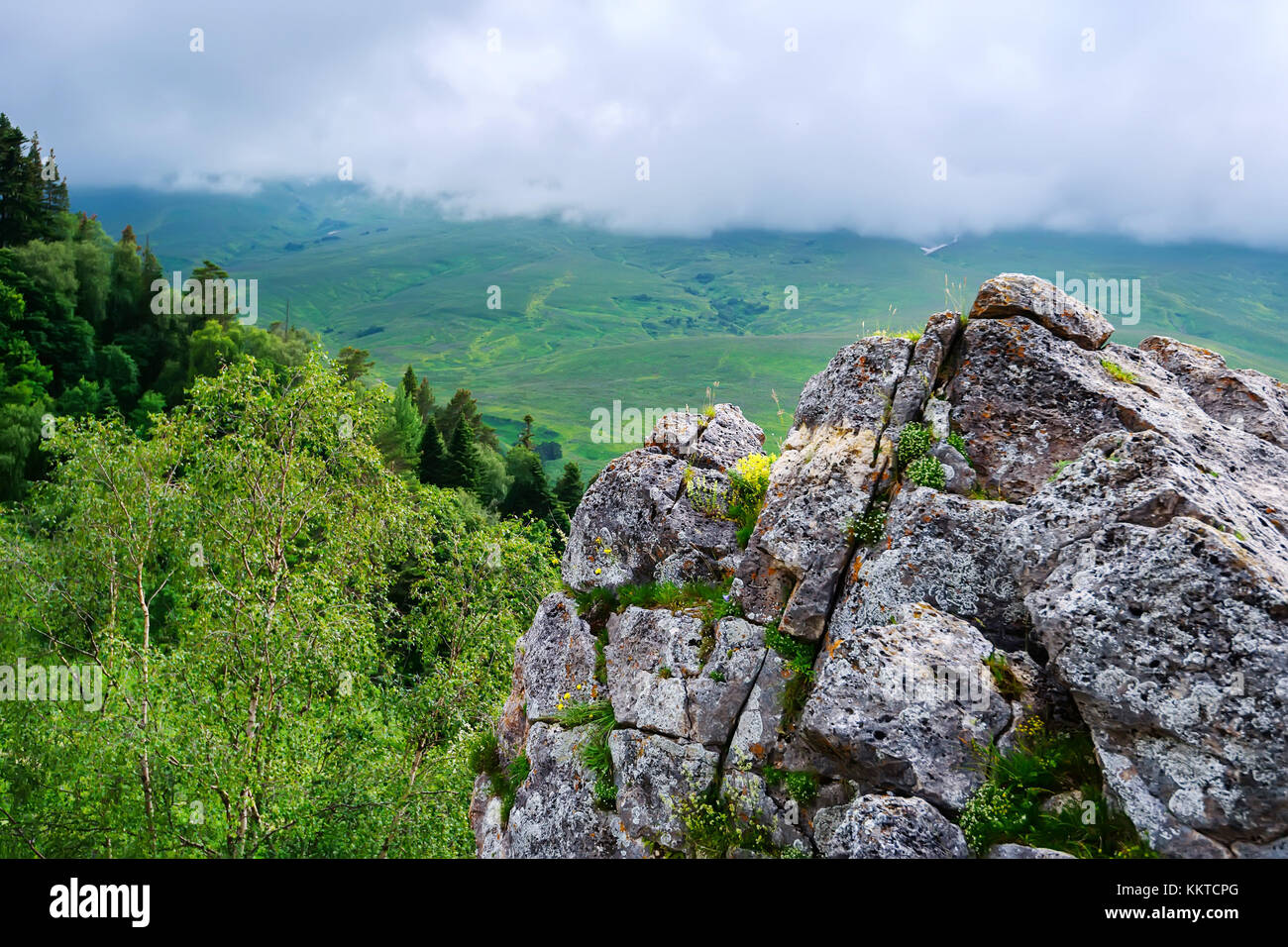 Scenic view of mountain meadow Stock Photo - Alamy