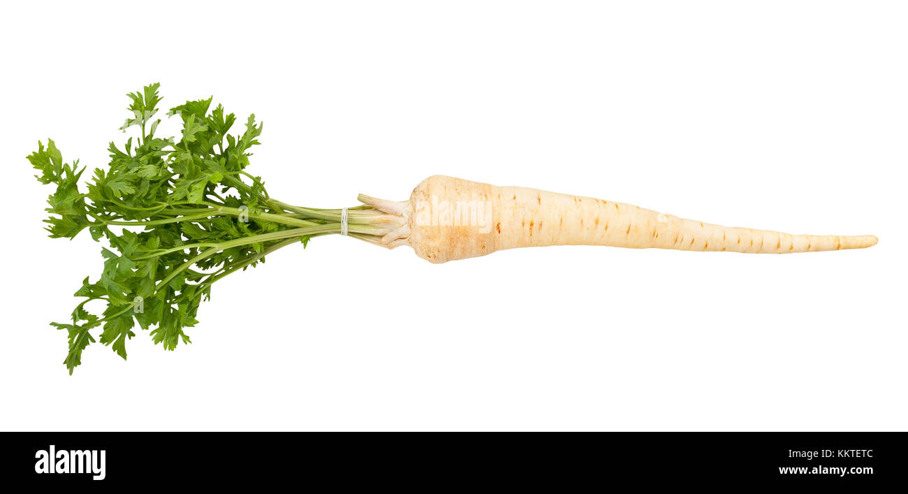 parsley root path isolated Stock Photo Alamy
