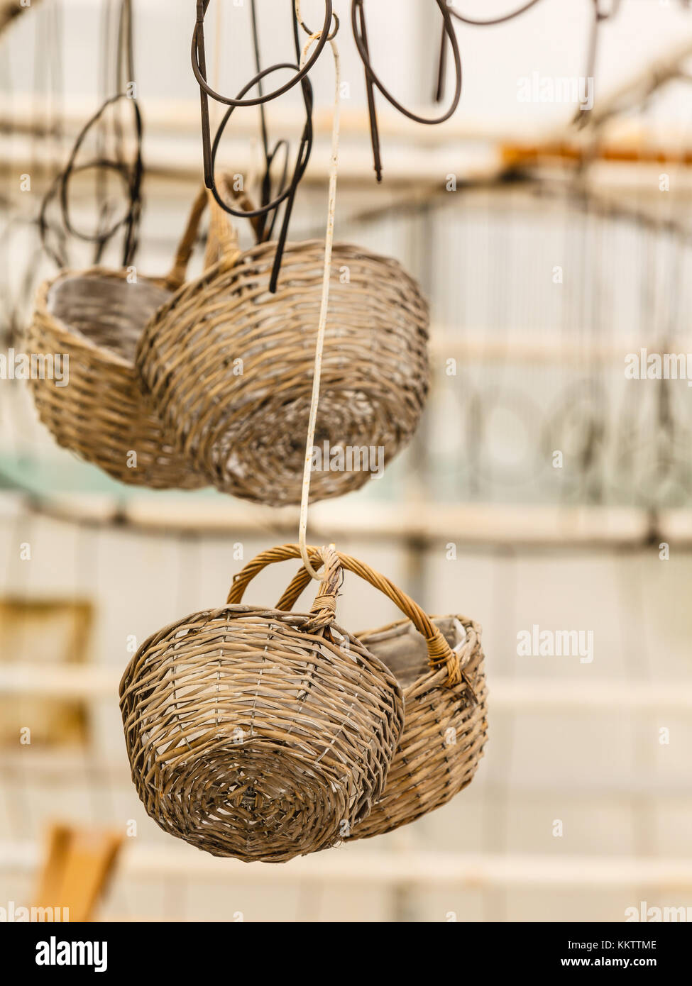 Handmade objects concept. Baskets made of wicker hanging under ceiling in  greenhouse Stock Photo - Alamy