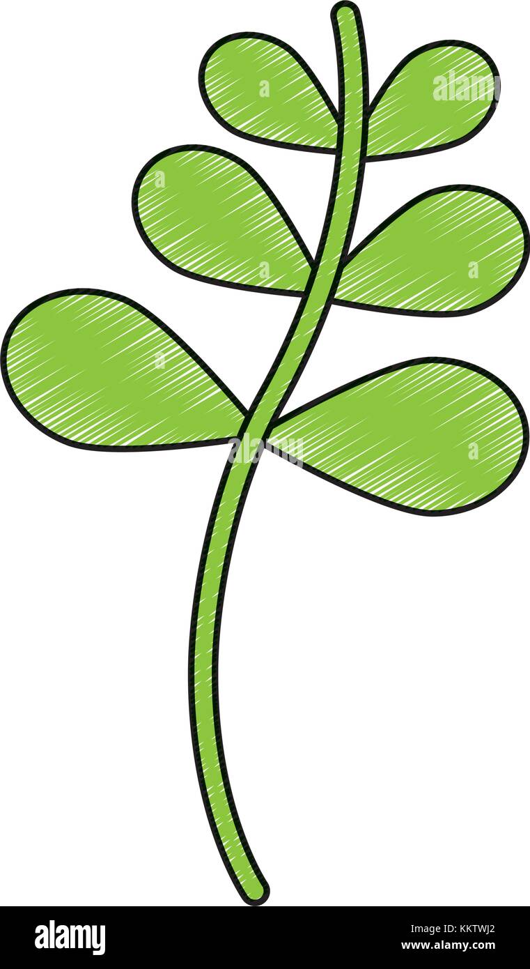 plant weed wild icon image Stock Vector Image & Art - Alamy