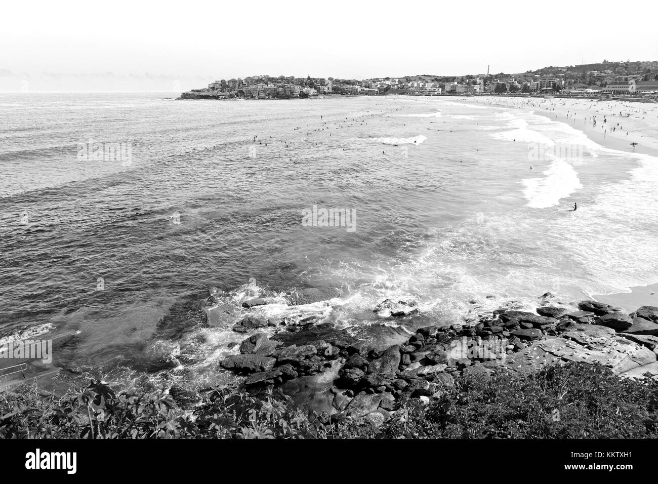 in australia the beach tourist and surfer Stock Photo - Alamy