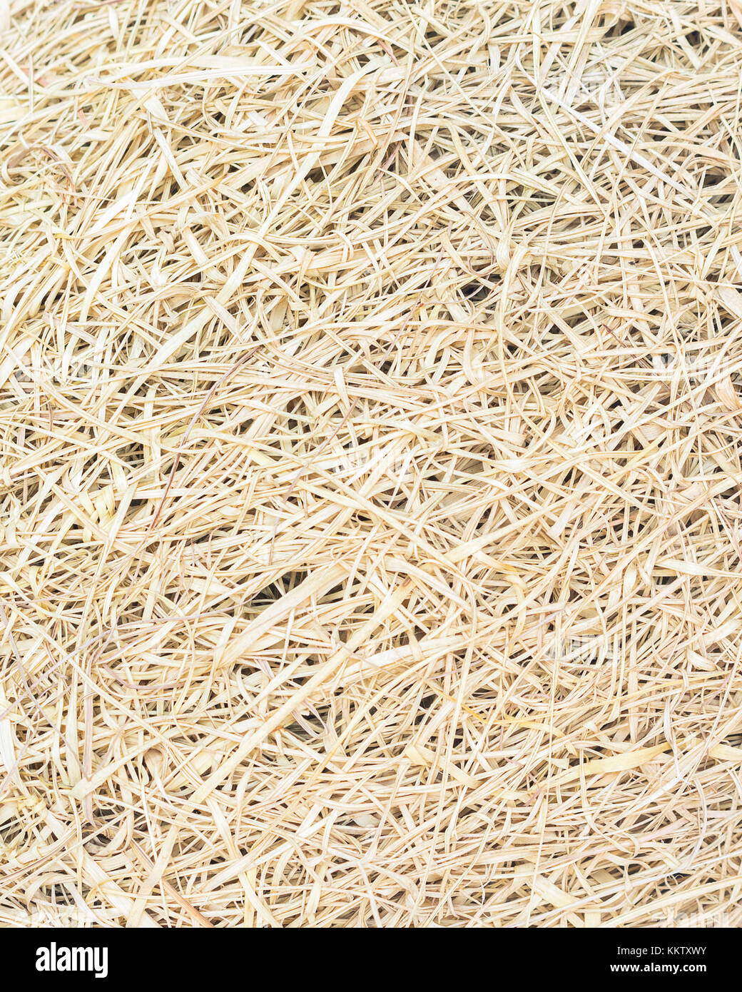 Dry straw, Dry grass, texture background Stock Photo Alamy