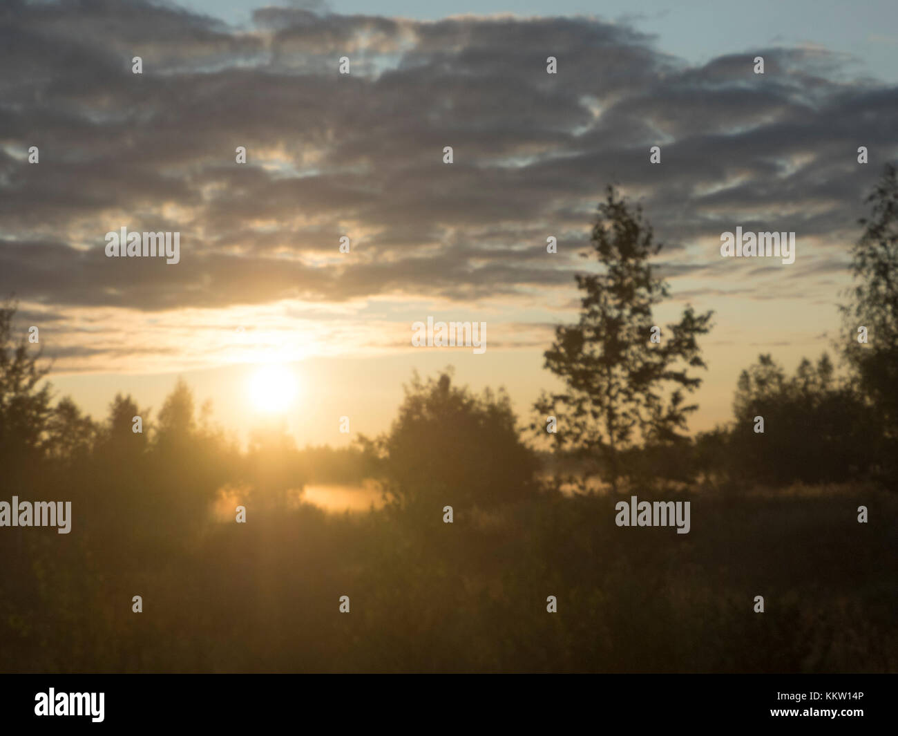 Morning field sunrise with trees in silhouette Stock Photo - Alamy