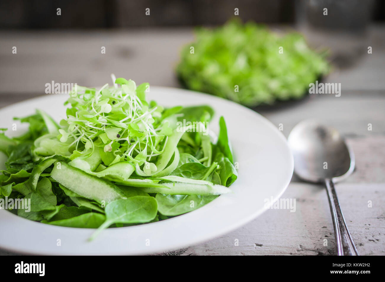 Salas With Spinach Stock Photo
