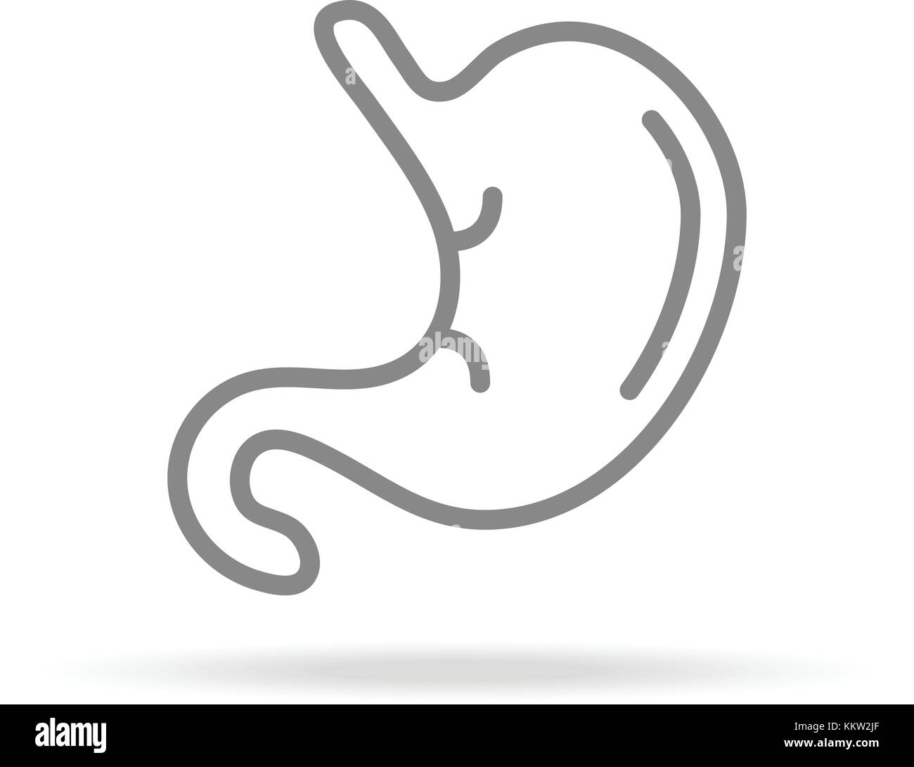 Human Stomach, Gastrology Icon In Trendy Thin Line Style Isolated On White Background. Medical Symbol For Your Design, Apps, Logo, UI. Vector Illustration. Stock Vector